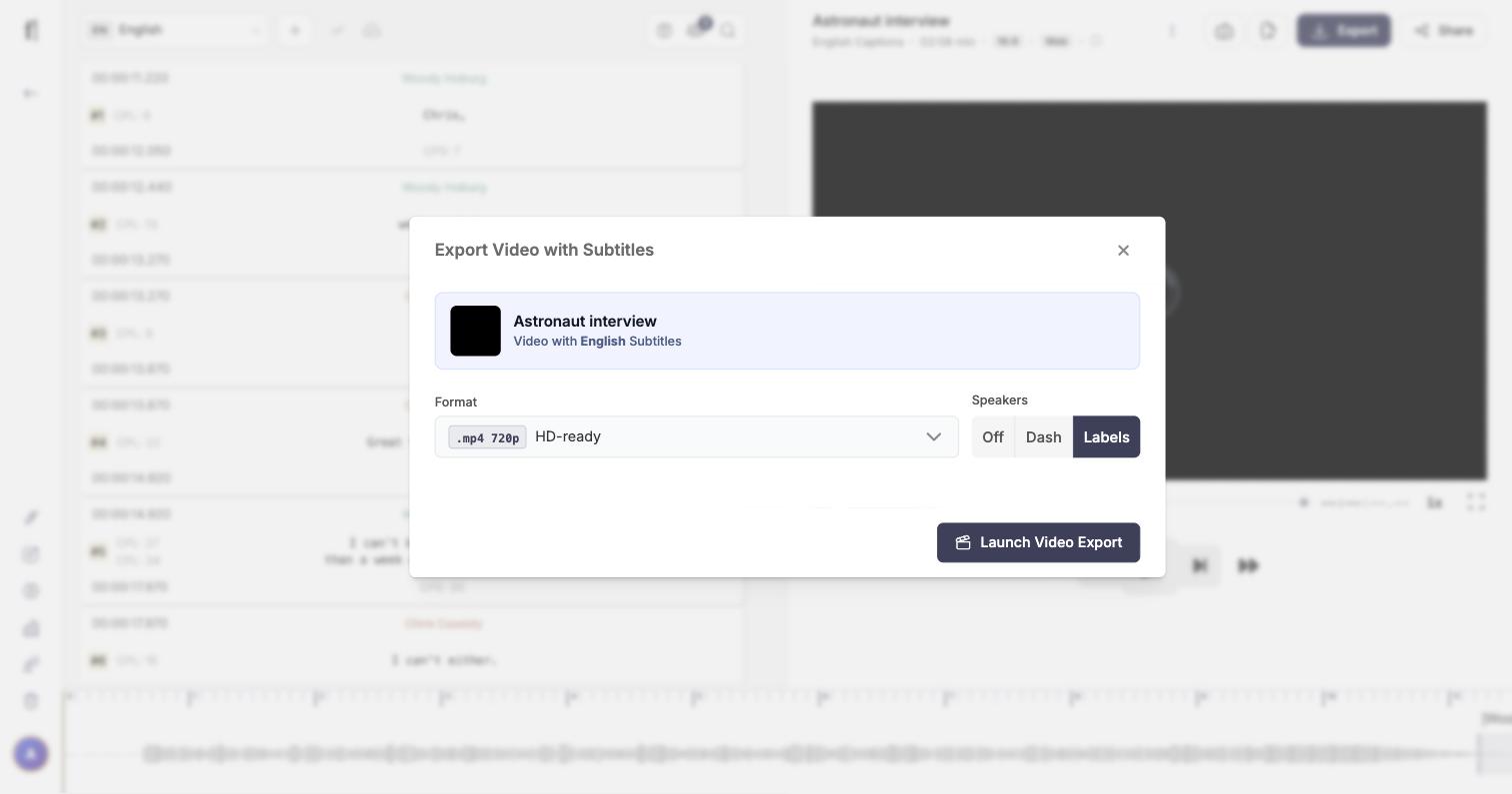 Export Video with Subtitles dialog with the Format options and the Launch Video Export button