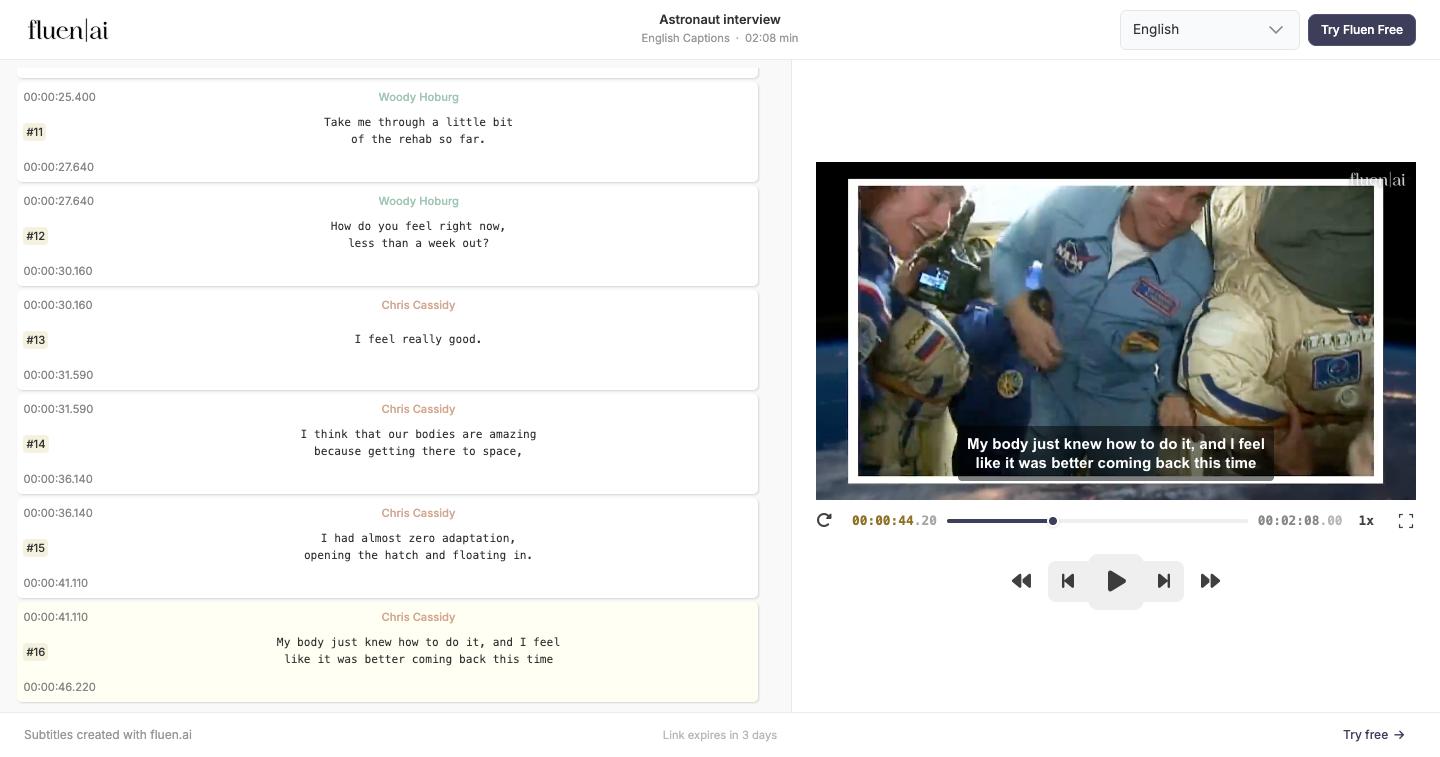 The public review page as the reviewer sees it: player, subtitle list, language menu, expiry note